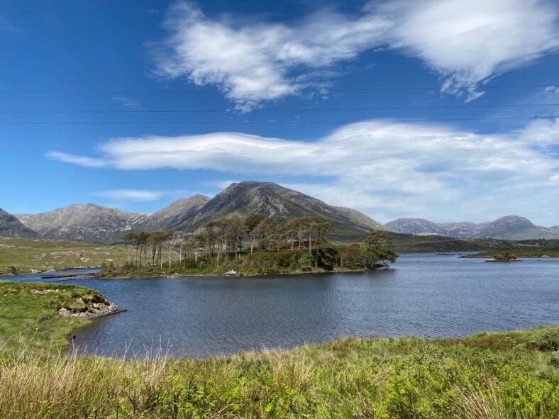 Pine Island | Thomas O'Sullivan