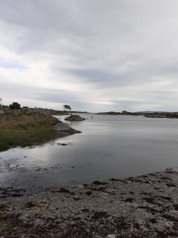 Turlough