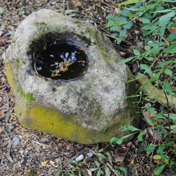 Holy Well in Killeenadeema