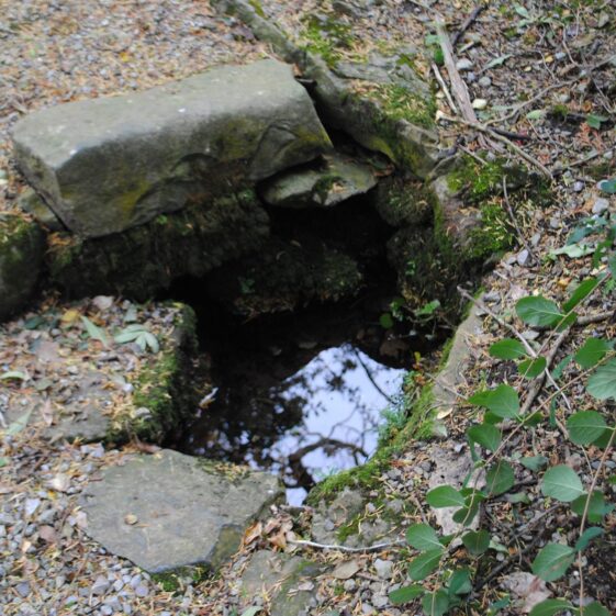 Holy Well in Killeenadeema