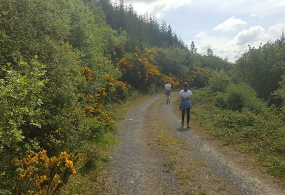 Walking within our 5km