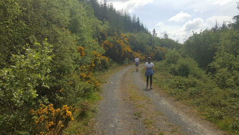 Slieve Aughties