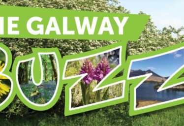 County of Galway Virtual Tidy Towns Project