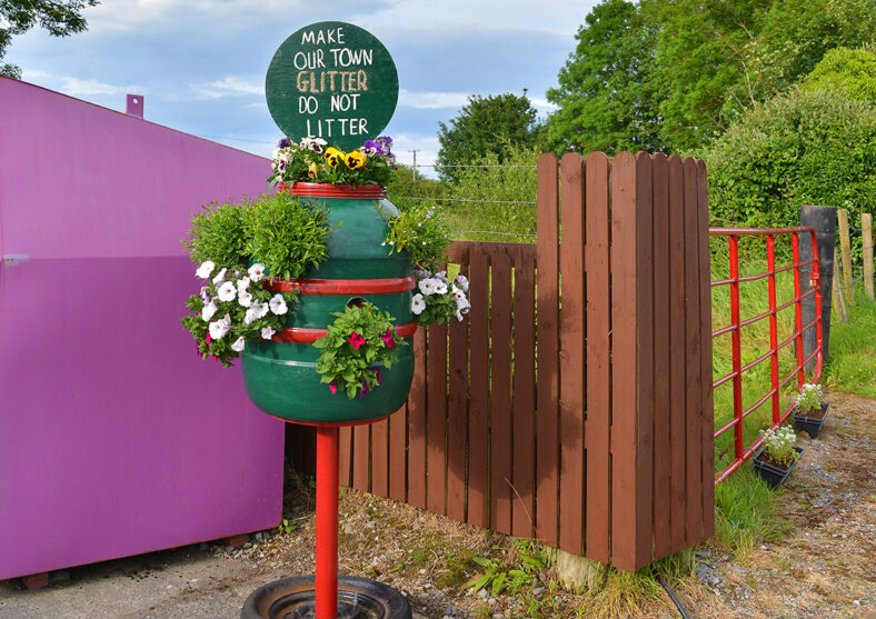 Laurencetown tidy towns | Robert Riddell