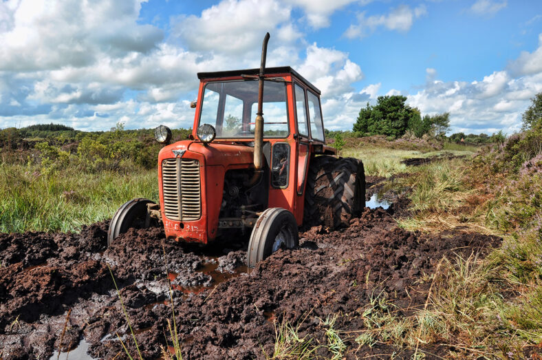 stuck in Pollboy Bog | Robert Riddell