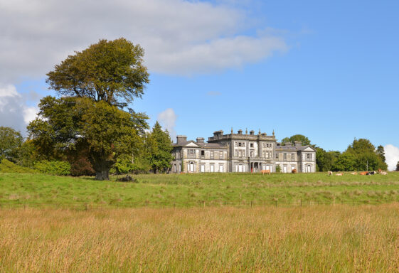 Woodlawn House