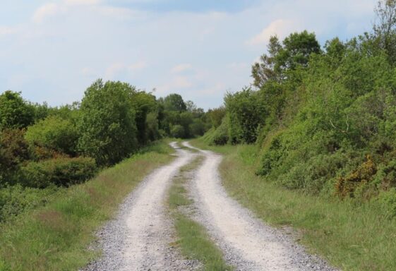 Carrownagappul Bog