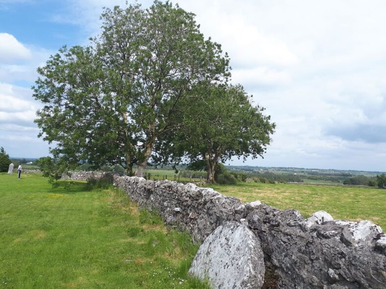 The beautiful ash trees in the photo are an important part of our heritage that is currently under threat due to the ash die-back disease | Emma Laffey