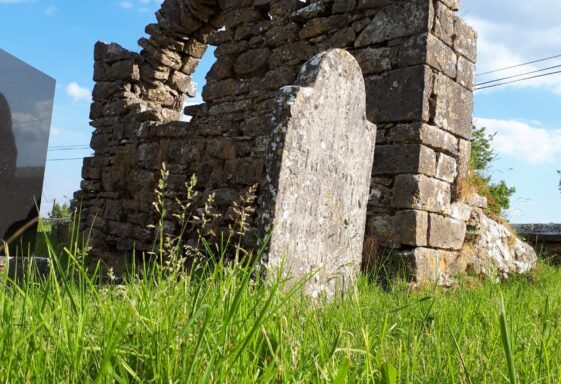 Ruins of Killoscobe Church