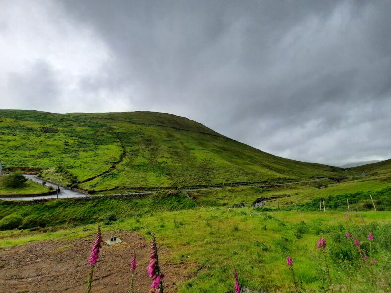 Leenane
