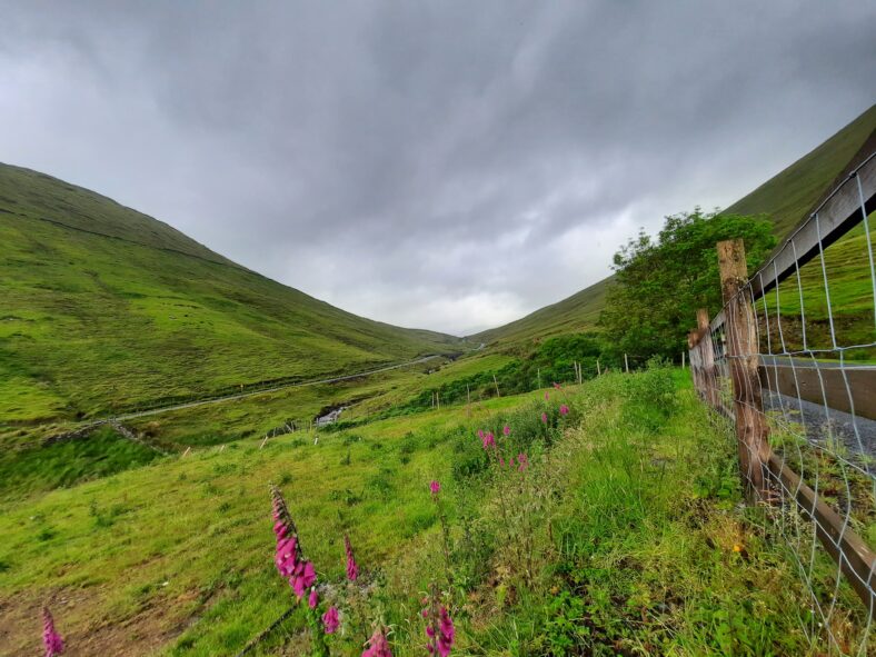 Leenane