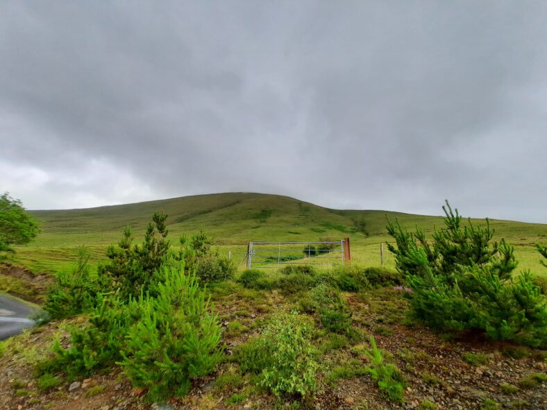 Leenane