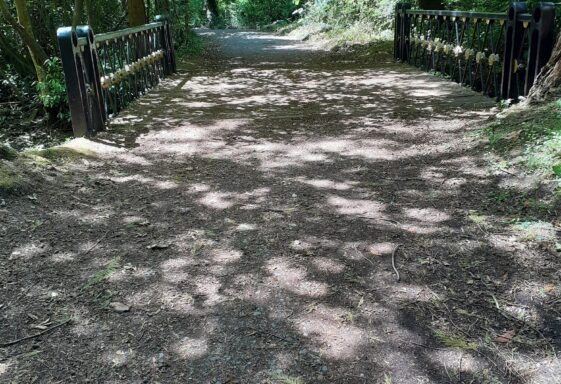 The Metal Bridge