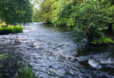 The Oughterard Trout Hatchery