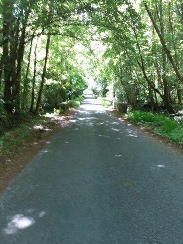 Avenue | Jimmy Noone 