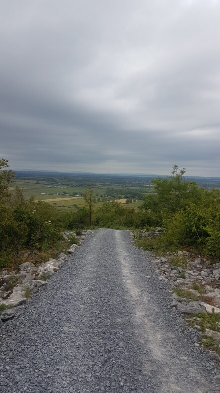 View from Knockma | Anne Mannion