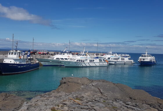 Ferries