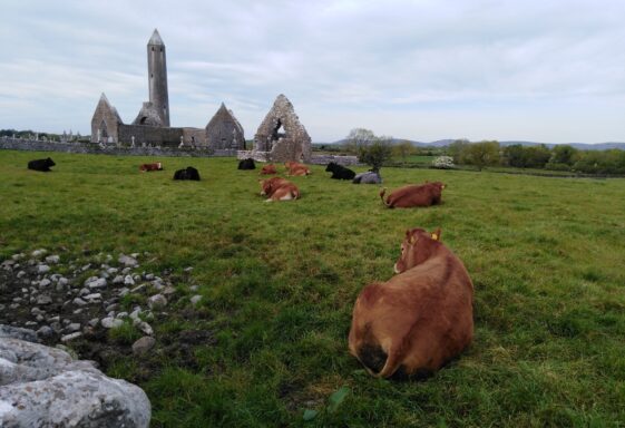 Kilmacduagh