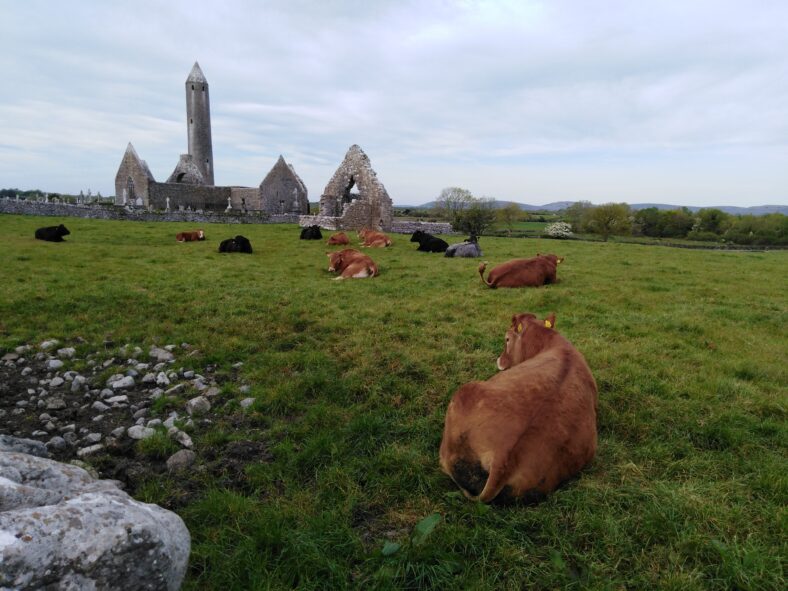 Kilmacduagh | Martin Curley