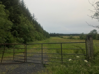 Entrance to Field in Leaha | Carmel O'Rourke