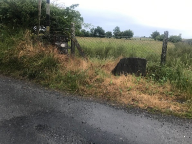 Lenanmarla Townland Stone | Carmel O'Rourke