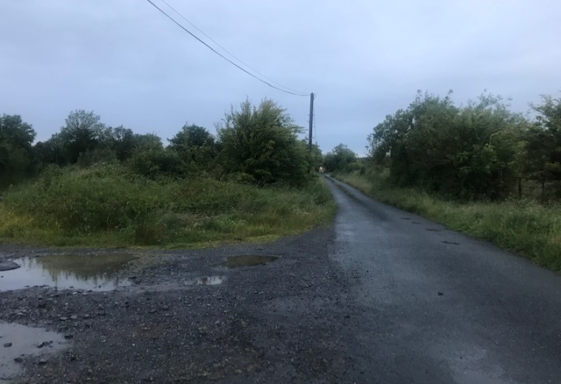 Lenarevagh