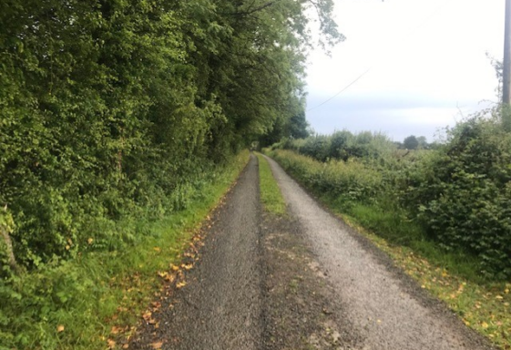 Lisduff