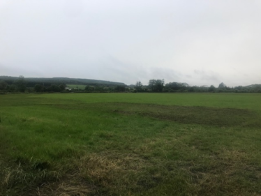 Field in Lahaghglass North
 | Carmel O'Rourke