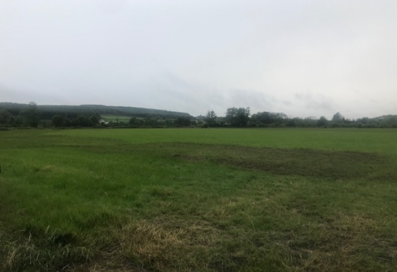 Lahaghglass North