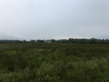 A Field in Millpark
 | Carmel O'Rourke