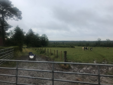 Field in Moneenroe | Carmel O'Rourke