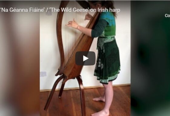 'Na Géanna Fiáine’ / ’The Wild Geese' on Irish harp