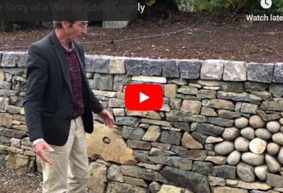 The Story of a Wall by Eddie Farrelly