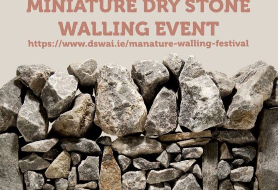 Miniature dry stone walling event