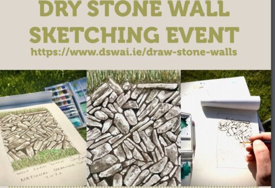Dry stone wall sketching event