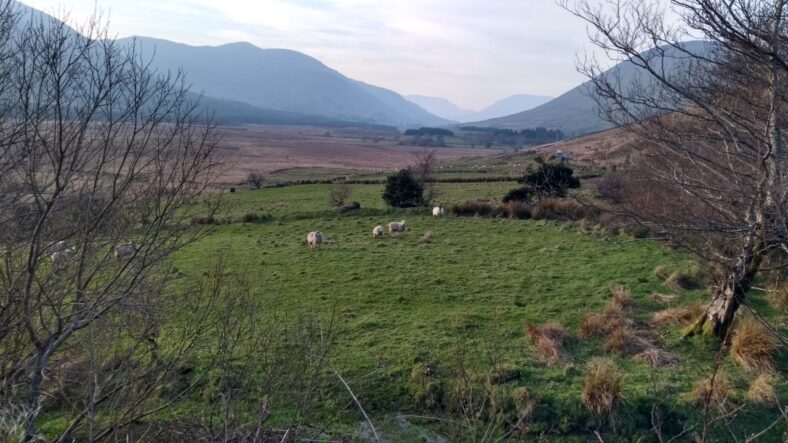 Maum West