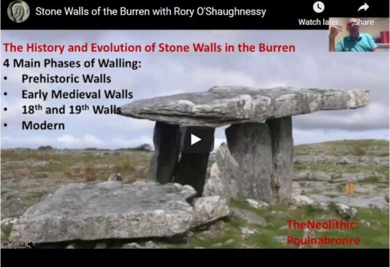 Stone Walls of the Burren with Rory O'Shaughnessy