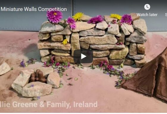 Miniature Walls Competition