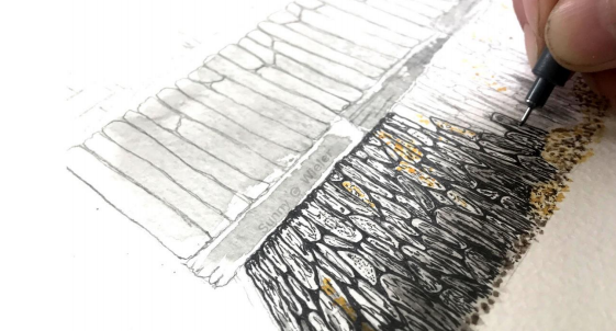 Drawing Dry Stone Walls