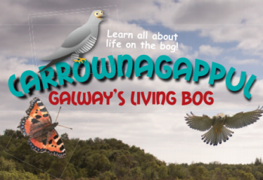 Carrownagappul Bog