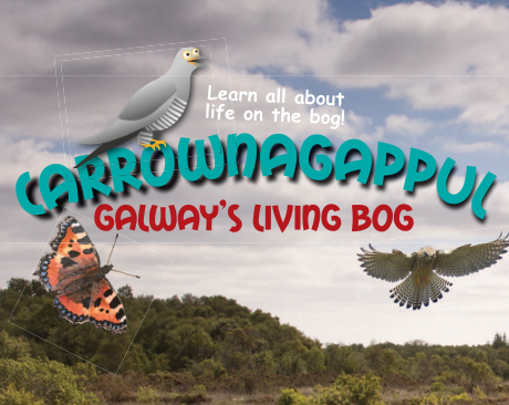 Carrownagappul bog