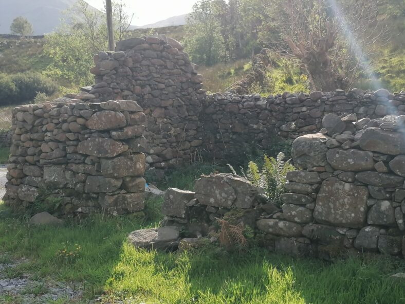 Shanafaraghaun | Tomas O Flatharta