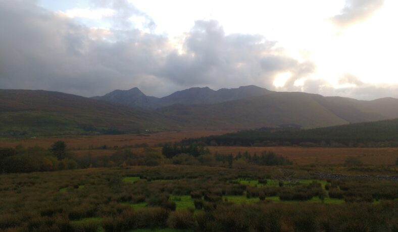 Baurslievenaroy