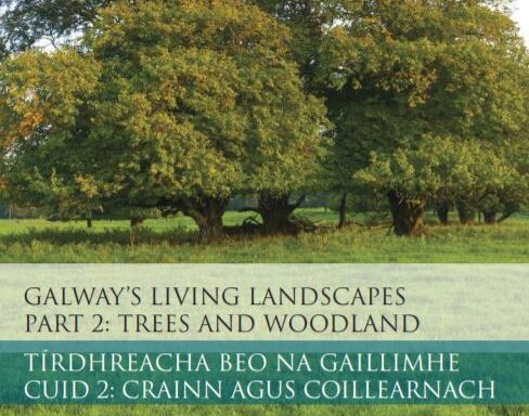 Galway’s Living Landscapes