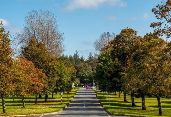 Monivea Village