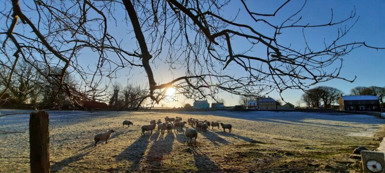 Frosty Menlough Area