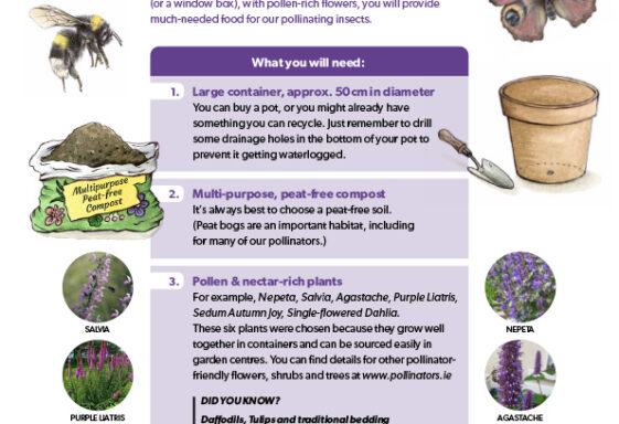 Pots for Pollinators