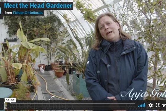 Meet the Head Gardener