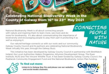 County of Galway Virtual Tidy Towns Project