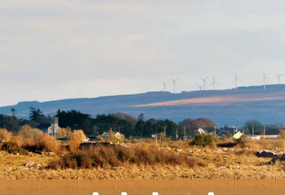 Ardrahan Biodiversity Action Plan